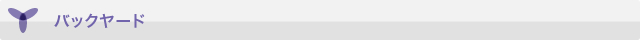 バックヤード